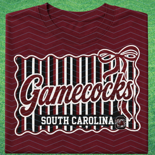 USC Gamecocks