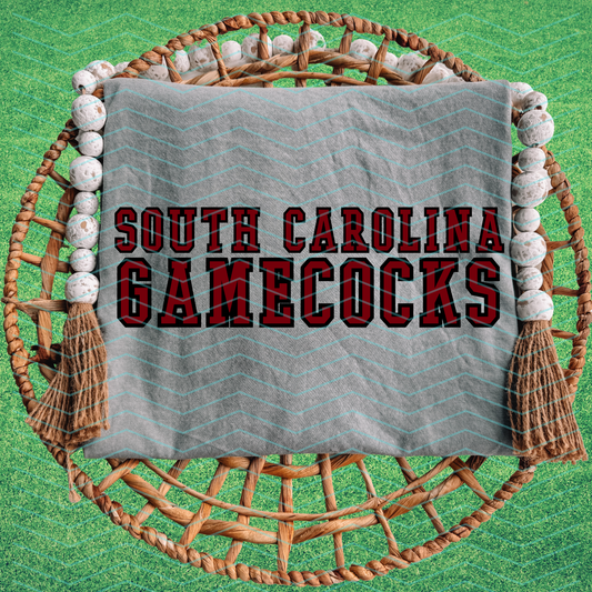 South Carolina Gamecocks