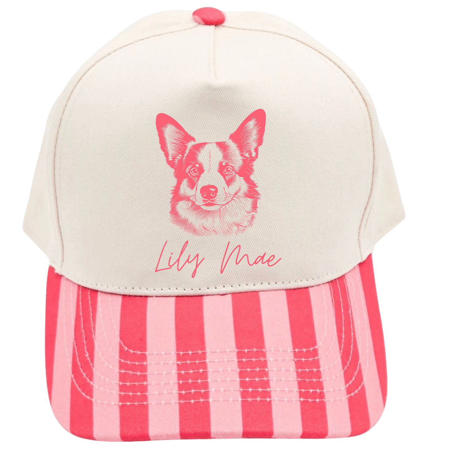 Furry Friend Pink Striped Cap